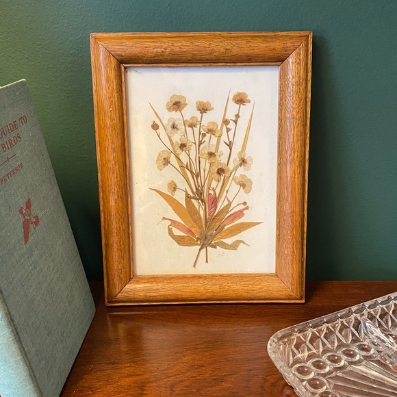 Vintage framed pressed flowers - Picture 1 of 6